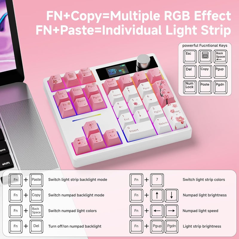 Boyi TD31Pro Gaming Keypad,BT5.0/2.4G/Type-C Wireless Numeric Keypad,RGB HotSwap Numpad Mechanical Number Pad,Gasket Number keypad Shortcut Keyboard(Romatic Cherry Blossom Keycaps) - Image 5